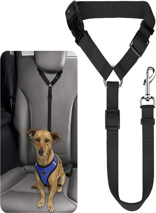 BLURISM Dog Harness with Leash Small Medium & Large All Breeds for Dogs Harness Harness for Small Puppy/Kitten/Cat Vest Harnesses Cat/Dog Training Collar Adjustable - Image 1